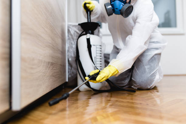Best Termite Control Services  in Whitesboro, NJ