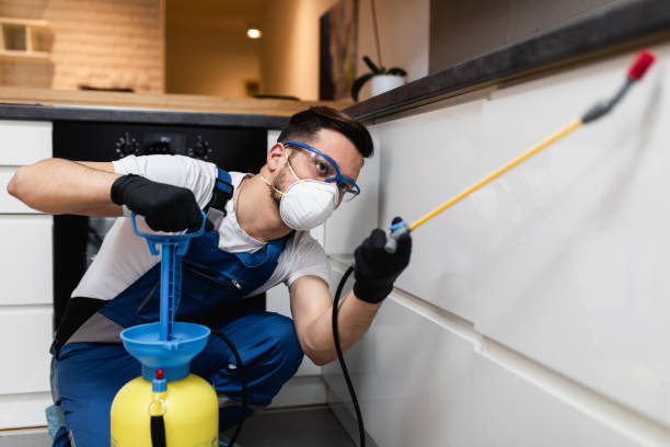 Trusted Whitesboro, NJ Pest Control Experts