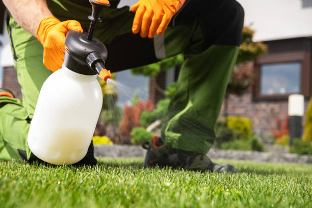 Pest Prevention Services in Whitesboro, NJ