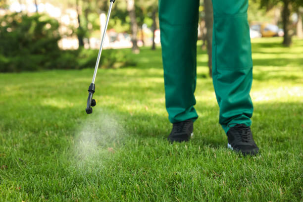 Best Pest Control Treatment  in Whitesboro, NJ