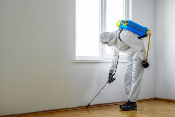 Best Pest Prevention Services  in Whitesboro, NJ