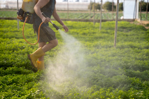 Best Pest Control Cost  in Whitesboro, NJ