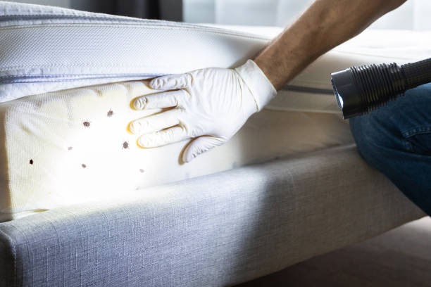 Pest Control for Restaurants in Whitesboro, NJ