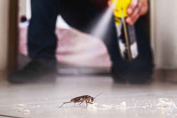 Best Local Pest Control Services  in Whitesboro, NJ