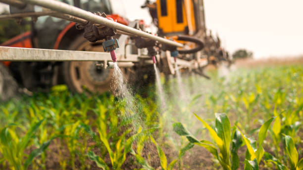 Pest Control Cost in Whitesboro, NJ