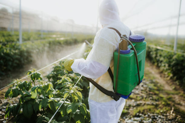 Best Exterminator Services  in Whitesboro, NJ